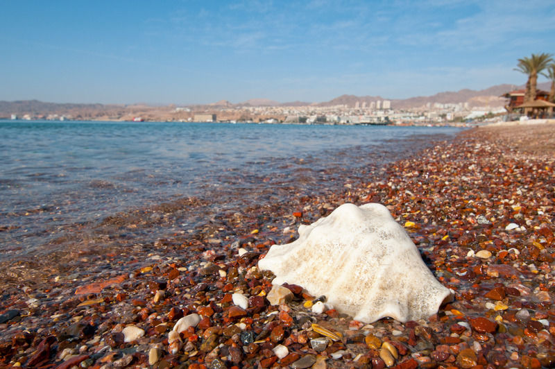 Leonardo Plaza Hotel Eilat Bagian luar foto